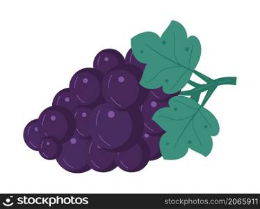 Grape vector isolated on white background. Fruit, fresh, health food icon are shown.. Grape vector isolated on white background. Fruit, fresh, health food icon