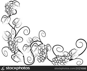Grape vine background with copy space