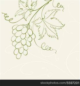 Grape wine card. Vector illustration.
