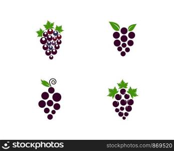 Grape with leaf icon vector template