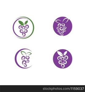 Grape with leaf logo vector template