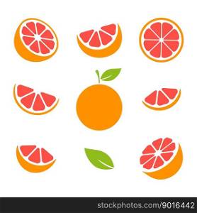 Grapefruit fruits slices set. Vector illustration isolated on white.. Grapefruit fruits slices set.