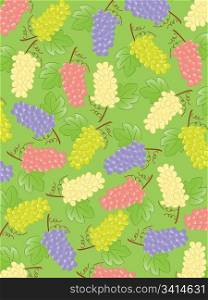 grapes background. Vector