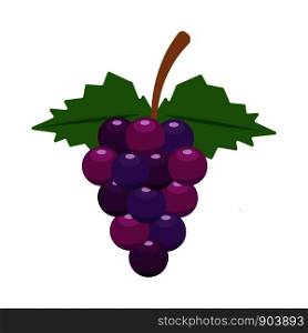 grapes - fruit icon vector design template