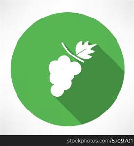 Grapes icon. Flat modern style vector illustration