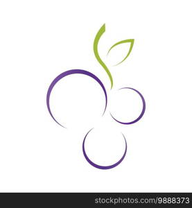 Grapes icon vector illustration design template