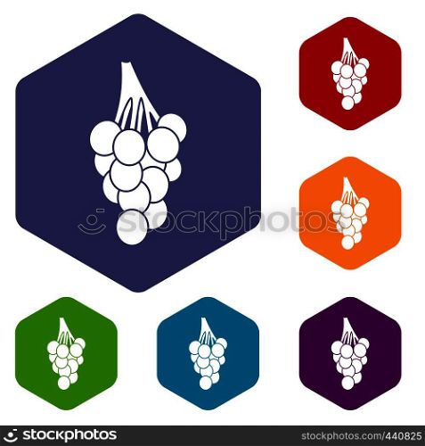 Grapes icons set hexagon isolated vector illustration. Grapes icons set hexagon
