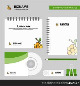 Grapes Logo, Calendar Template, CD Cover, Diary and USB Brand Stationary Package Design Vector Template