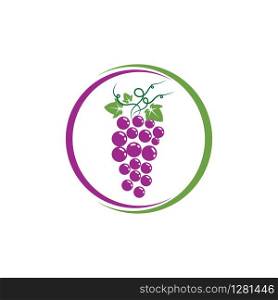 Grapes logo template vector icon illustration design