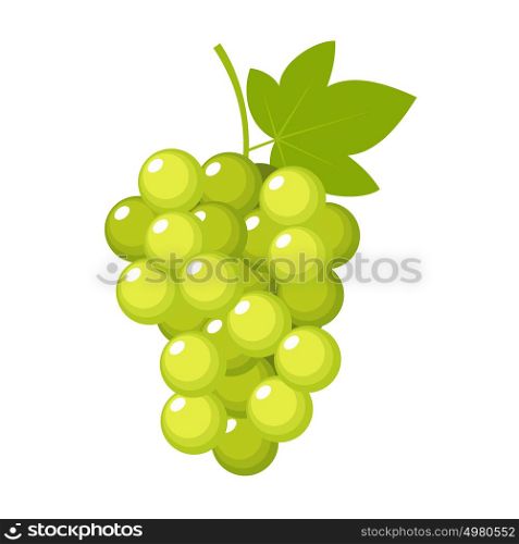 Grapes on a white background isolated. Vector illustration