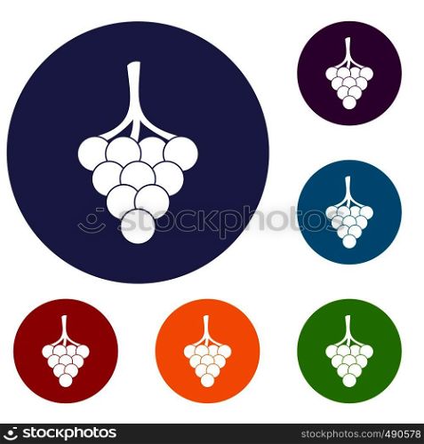 Grapes on the branch icons set in flat circle red, blue and green color for web. Grapes on the branch icons set
