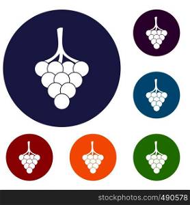 Grapes on the branch icons set in flat circle red, blue and green color for web. Grapes on the branch icons set
