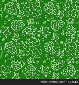 Grapes seamless pattern. Hand drawn fresh berry. Vector sketch background. Color doodle wallpaper. Green and white print