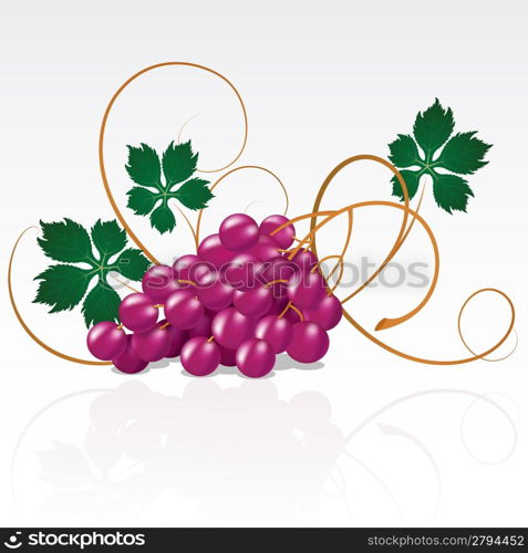 Grapes with green leaves on a white background