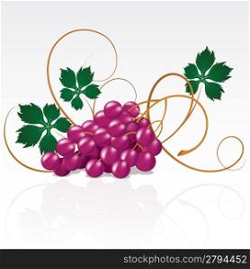Grapes with green leaves on a white background