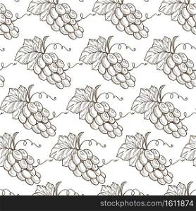 Grapevine agriculture of grapes, seamless pattern of organic product. Branch with berries and leaves. Summertime ingredients, nutrition and detoxing. Monochrome sketch outline, vector in flat style. Bunches of grapes with fruits and foliage seamless pattern