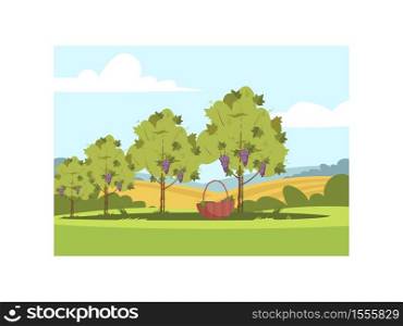 Grapewine seasonal crop semi flat vector illustration. Harvest for local winery production. Countryside plantation hills. Grapes on row of bushes 2D cartoon characters for commercial use. Grapewine seasonal crop semi flat vector illustration