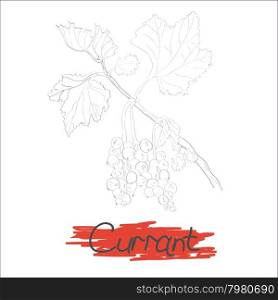 Graphic black-and-white image of a branch with leaves of currant berries. Below an inscription on a red background. Vector illustration.
