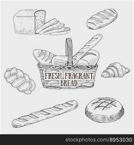 Graphic kinds of bread include bread basket vector image