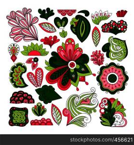 Graphic leaves, herbs and flowers. Hand drawn floral vector elements. Hand drawn floral vector elements