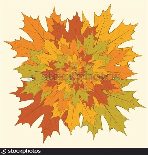 Graphic vector drawing - a maple leaves boquet. EPS10 vector.