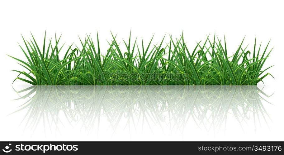 Grass, 10eps