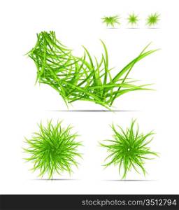 Grass and leaves vector summer background