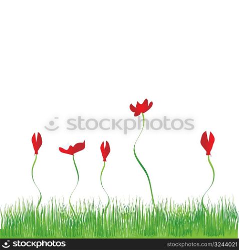 Grass background, flowers red