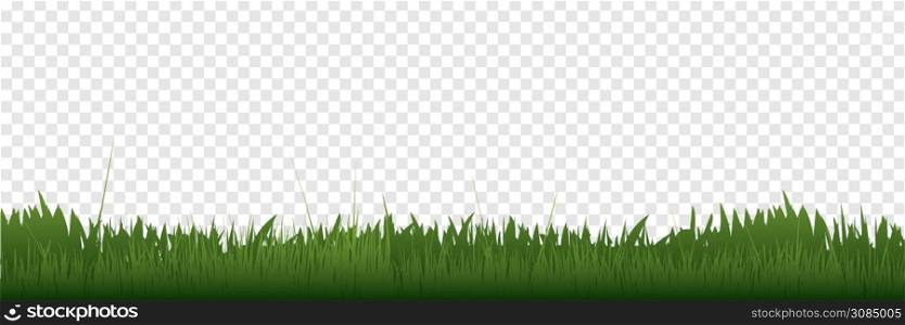 Grass border in a row. Panorama view. Green Grass, isolated on transparent background. Vector illustration