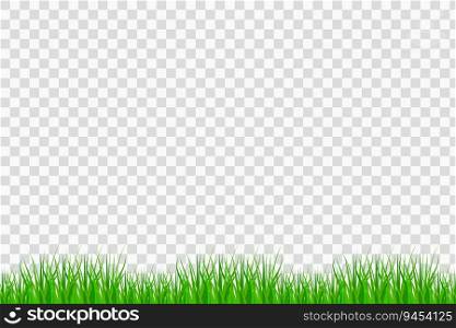 Grass border. Summer natural background, green grass. Vector illustration. Eps 10. Stock image.. Grass border. Summer natural background, green grass. Vector illustration. Eps 10.