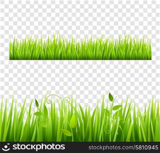 Grass Border Tileable Transparent . Green and bright grass border tileable transparent with plants flat isolated vector illustration