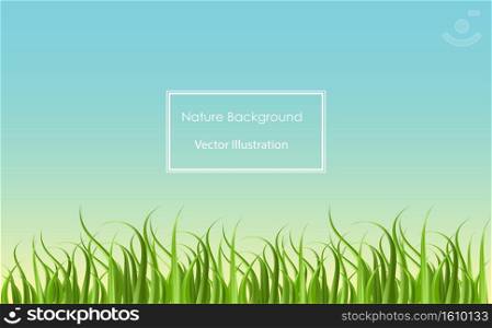 Grass field background for nature, ecology, environment or lawn mower service template. Website and landing page.
