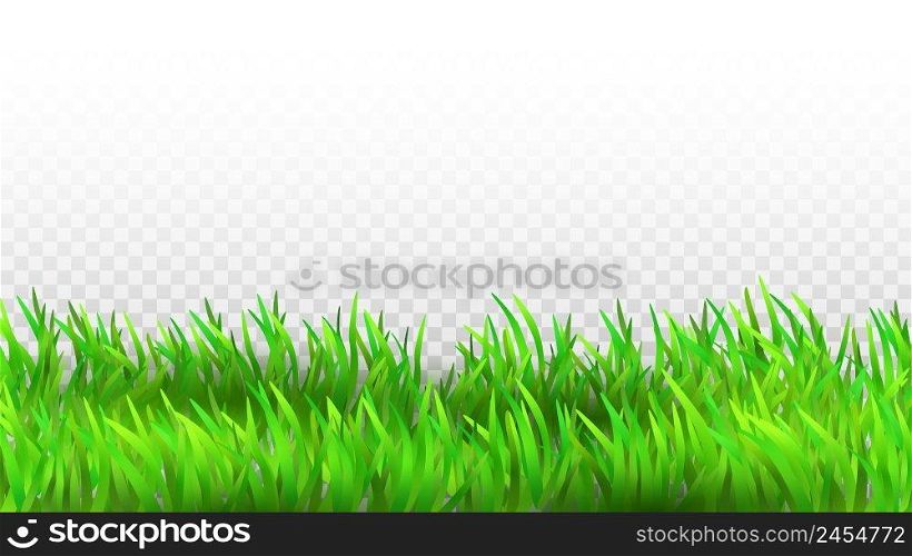 Grass Growing Green Plant Rural Landscape Vector. Field Or Meadow Natural Grass Grow In Spring Or Summer Time. Garden Lawn Or Agriculture Farmland Template Realistic 3d Illustration. Grass Growing Green Plant Rural Landscape Vector
