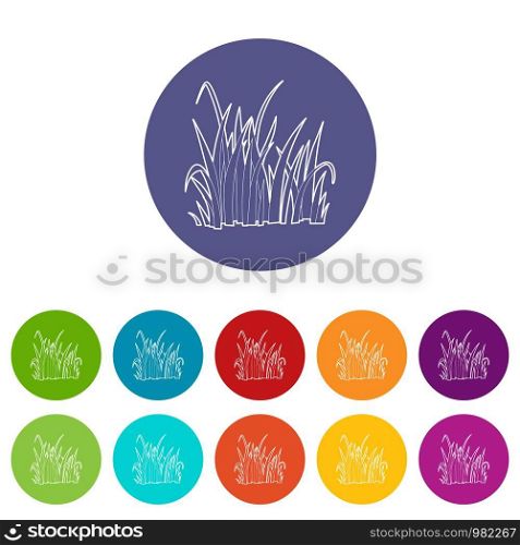 Grass icon. Outline illustration of grass vector icon for web. Grass icon, outline style