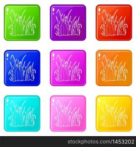 Grass icons set 9 color collection isolated on white for any design. Grass icons set 9 color collection