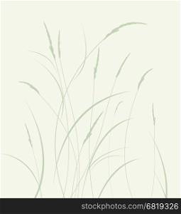 Grass in a meadow. Vector illustration grass in a meadow, natural landscape background