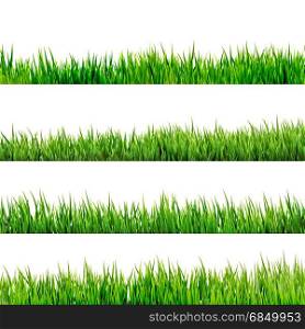 Grass isolated on white. And also includes EPS 10 vector