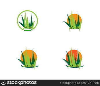 Grass logo vector template