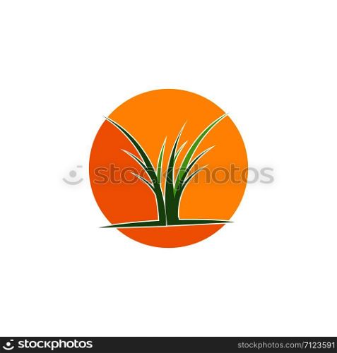 Grass logo vector template