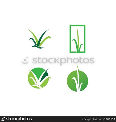 Grass logo vector template illustration design