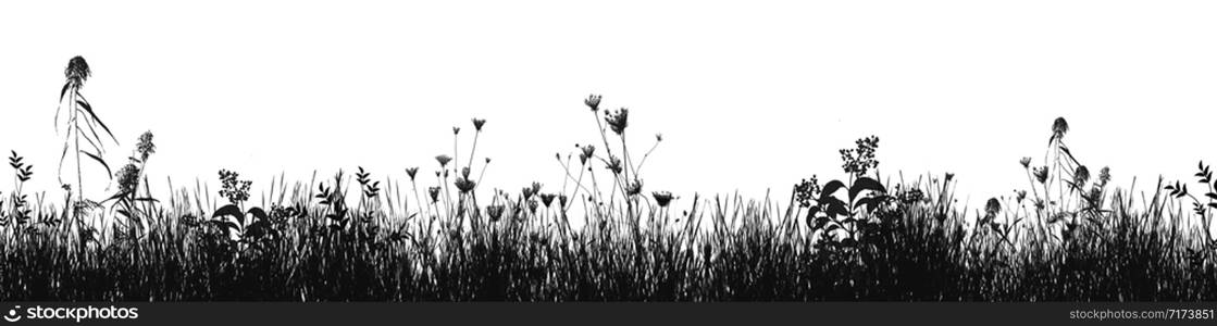 Grass natural silhouette as background on white, vector illustration