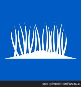 Grass on ground icon white isolated on blue background vector illustration. Grass on ground icon white