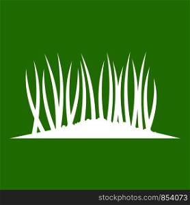 Grass on ground icon white isolated on green background. Vector illustration. Grass on ground icon green
