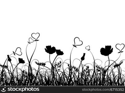 Grass, poppy and heart, vector