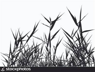 Grass Silhouette