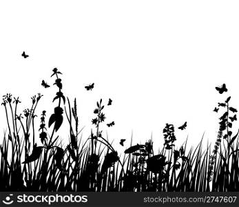 Grass silhouettes ornate on the white background