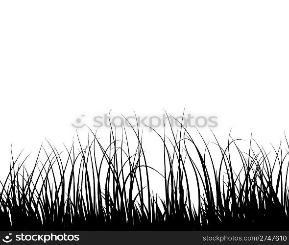 Grass silhouettes ornate on the white background