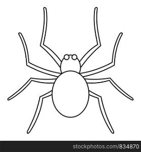 Grass spider icon. Outline grass spider vector icon for web design isolated on white background. Grass spider icon, outline style