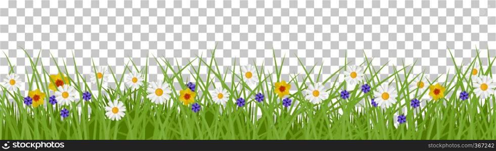 Grass summer background. Spring and Summer Illustration with flowers. Grass summer background