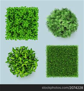 Grass top. Green ground eco gardens forest natural leaves plants decent vector realistic templates. Sample nature garden plant, green grass and leaf illustration. Grass top. Green ground eco gardens forest natural leaves plants decent vector realistic templates